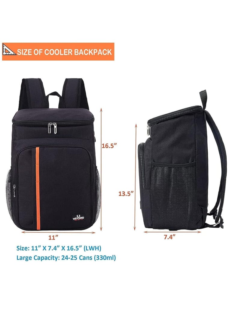 Large Insulated Thermal Cooler Backpack