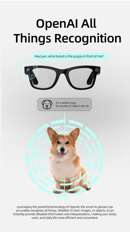 G300 Smart AI Glasses User Manual
